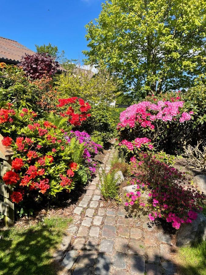 Feriehus-gammel Byvej, Vrensted *