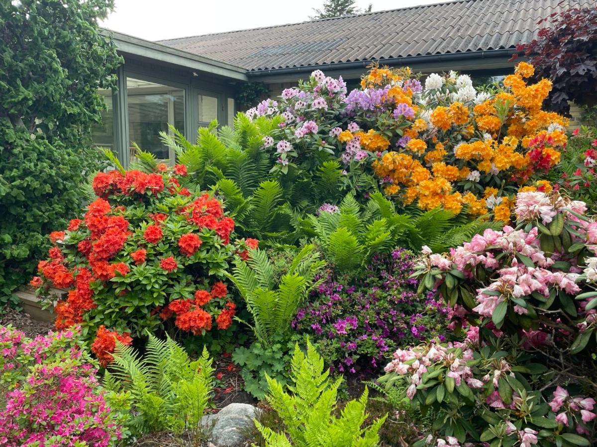 Holiday home Feriehus-gammel Byvej, Vrensted